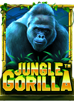 หลักการ แทง ไฮโล อย่างมืออาชีพ